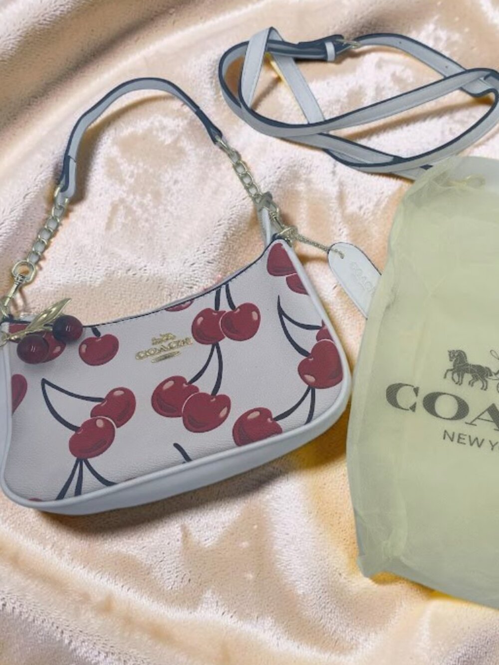 NEW COACH Teri Shoulder Bag Signature Canvas Cherry Print small purse trendy